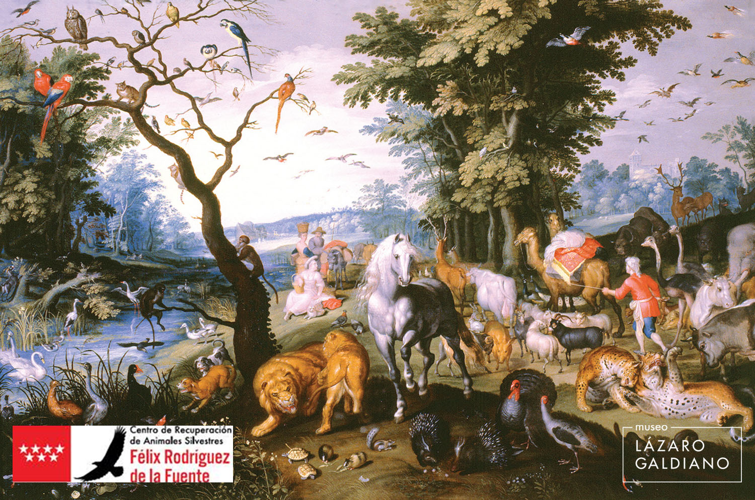 Itinerario para educación primaria LOS SECRETOS DE LA FAUNA EN EL MUSEO LÁZARO GALDIANO