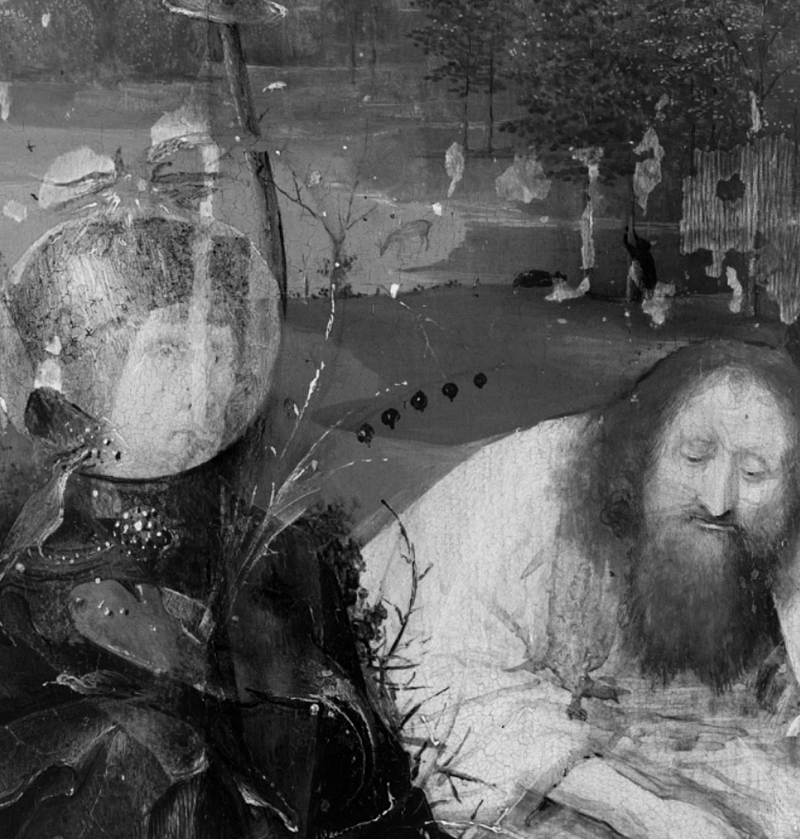 Fotografía infrarroja de un detalle de "Las meditaciones de San Juan Bautista" de El Bosco. Museo Lázaro Galdiano