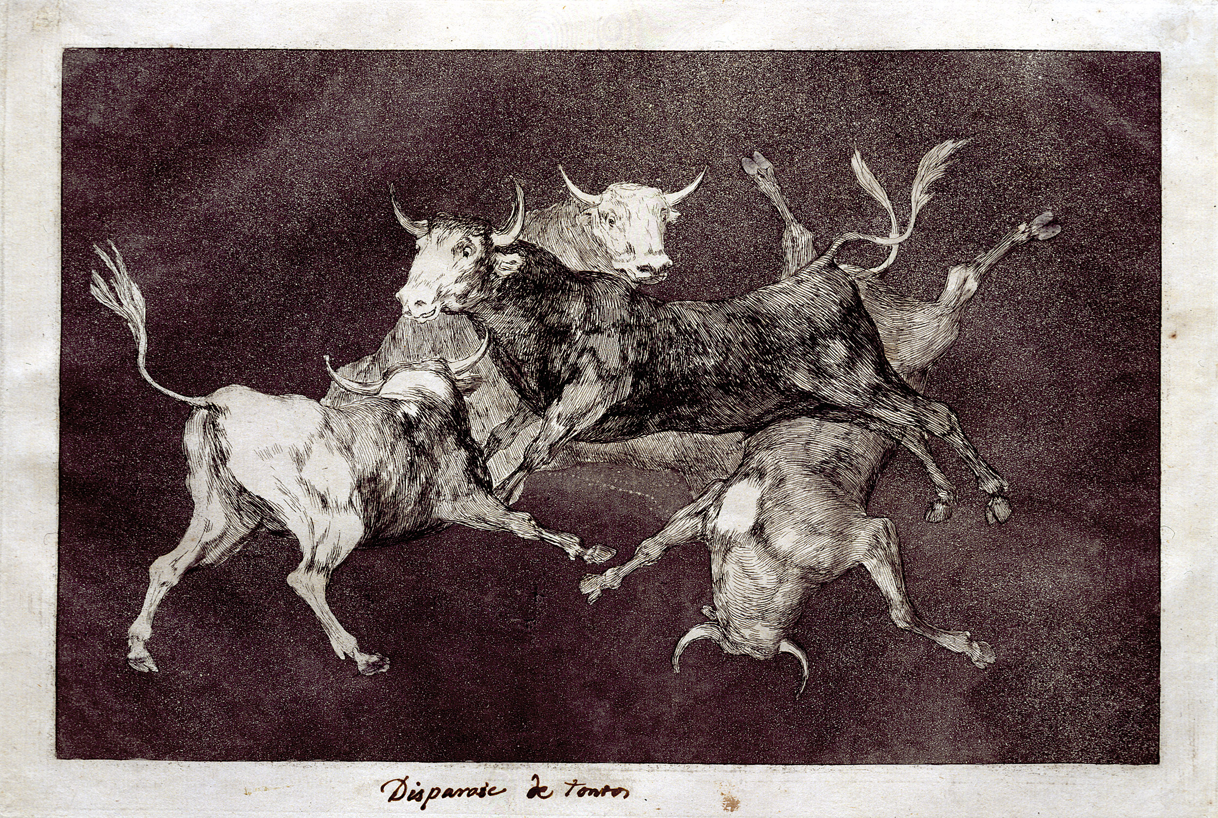 FRANCISCO DE GOYA: Disparate de tontos o toritos