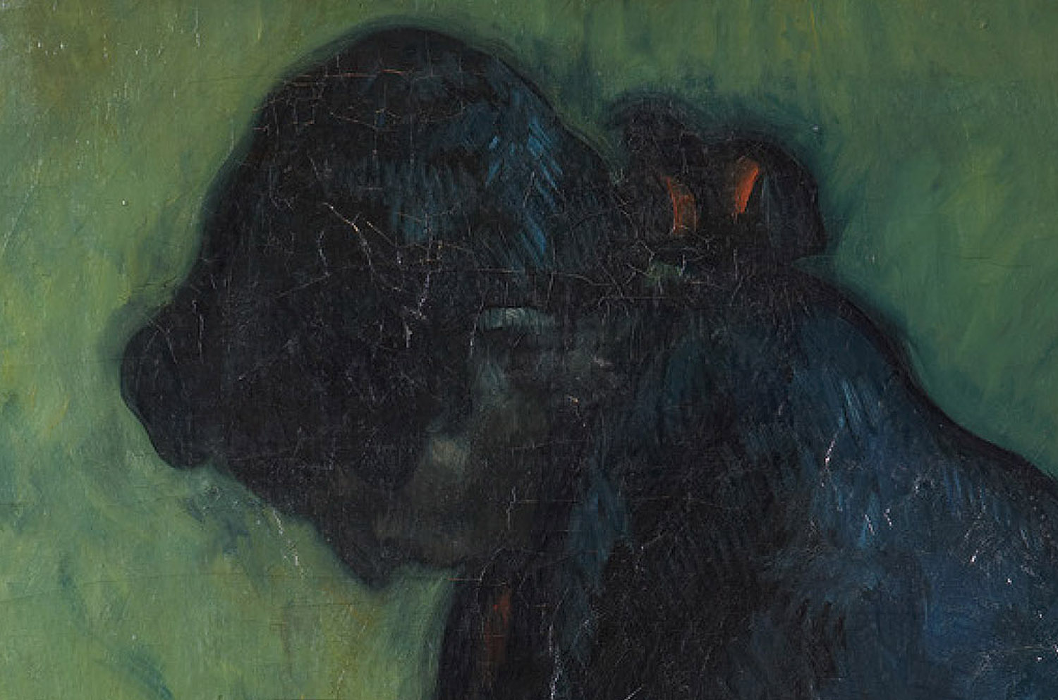 Exposición ISIDRE NONELL MIRANDO A GOYA