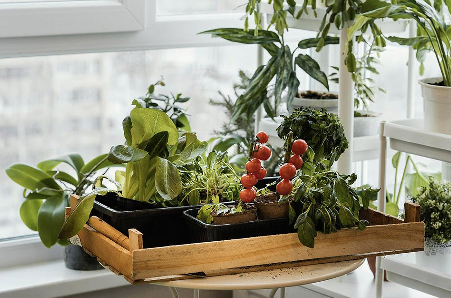 Talleres "El Huerto Florido"