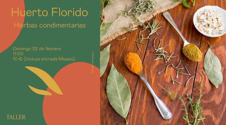 Taller para familias EL HUERTO FLORIDO. Hierbas condimentarias