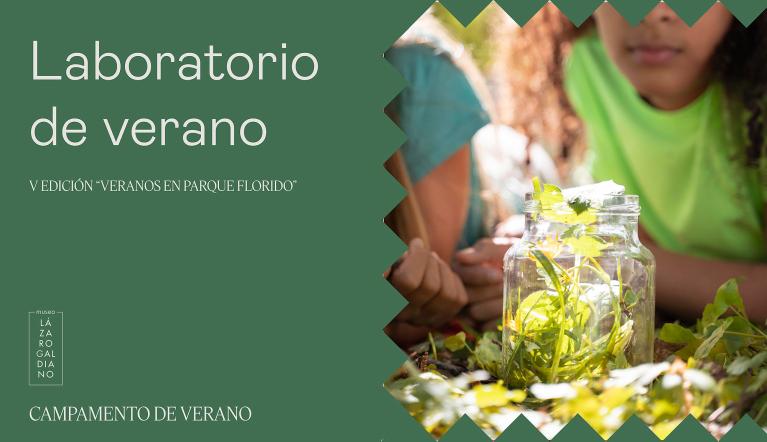 Campamento 2026 VERANOS EN PARQUE FLORIDO